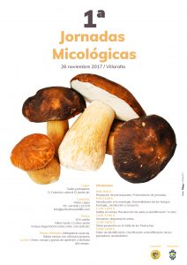 jornadas micologicas villaralto_Pedroches_Wildlife
