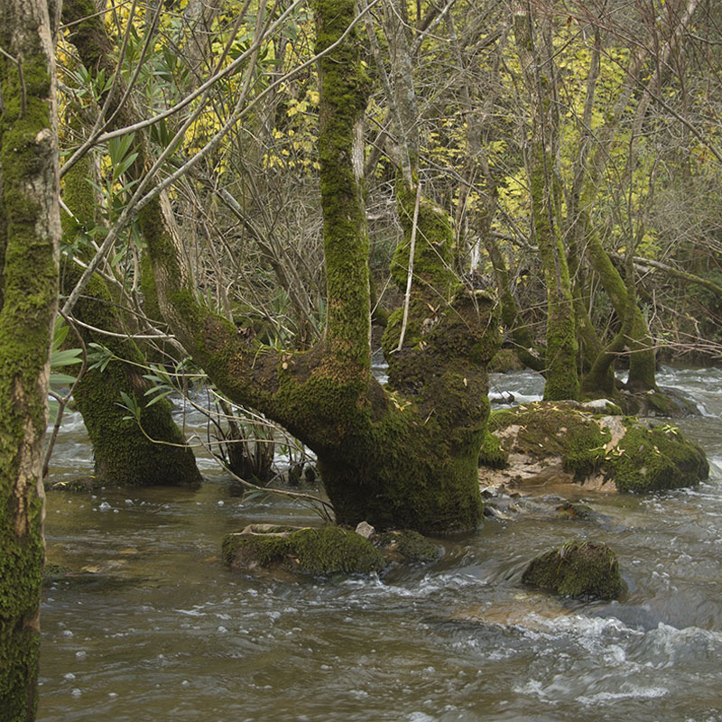 Interpretación del Paisaje