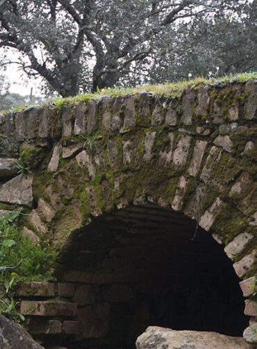 Rutas Interpretativas